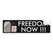 ZAZ317 BUMPER STICKER