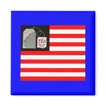 ZAZ385. FRIDGE MAGNETS