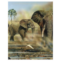 zaz3elephant letterhead