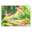 Zazzle 1 cards