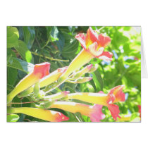 Zazzle 1 cards by lmitic Zazzle 1 cards