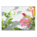 Zazzle II cards