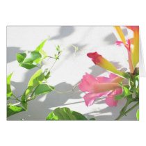 Zazzle II cards by lmitic Zazzle II cards
