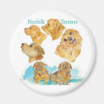 Zazzle NORFOLKS 2012 Magnets