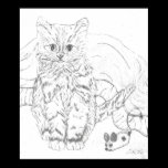 Zazzle & Tweek Wall Decor posters