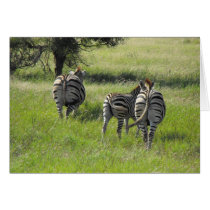 Zebra2 Card