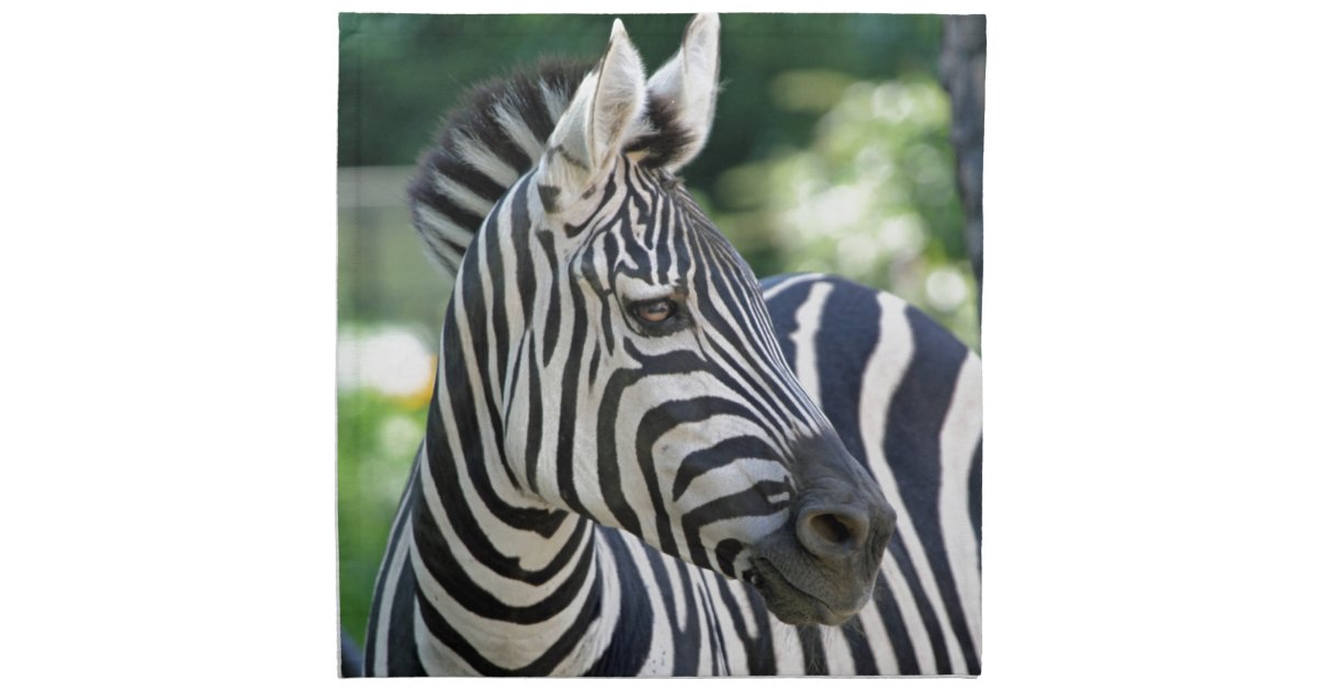 Zebra 001 cloth napkin Zazzle