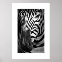 Zebra #1 posters
