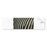 Zebra 2 bumper sticker