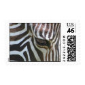 Zebra Abstract postage