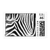 Zebra Abstract Postage