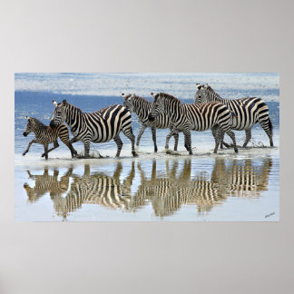 wildlife canvas art prints