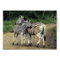 zebra and Baby Card