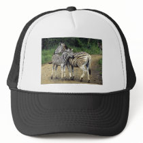 zebra and Baby hats by Irishdreams zebra and Baby hats