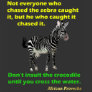 Zebra and Crocodile Series Tshirts