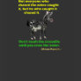 Zebra and Crocodile Series T-shirt