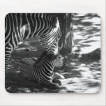 zebra and cub mouse mats