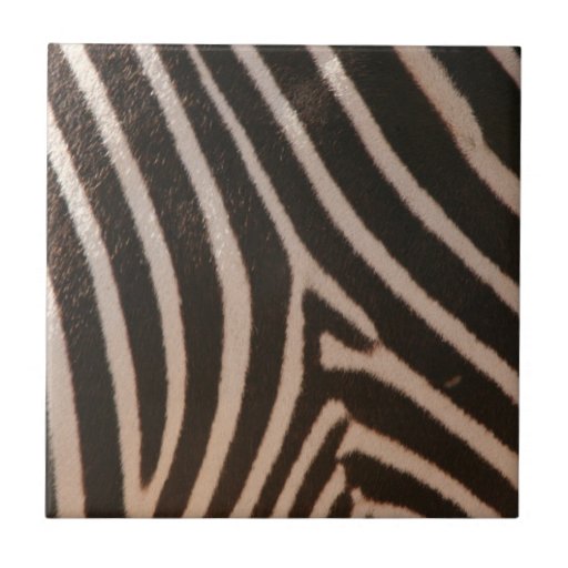 Zebra Pattern Tiles | zebra animal pattern tile zazzle Zebra Pattern Tiles | zebra animal pattern tile zazzle