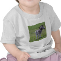 Zebra Attitude  Baby T-Shirt