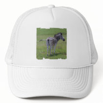 Zebra Attitude  Baseball Hat