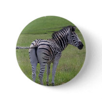 Zebra Attitude  Button