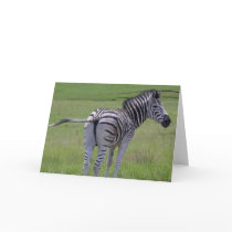Zebra Attitude  Greeting Cards