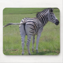Zebra Attitude  Mouse Pads