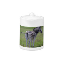 Zebra Attitude Teapot
