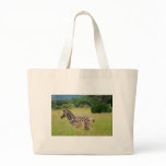 Zebra baby and mom bags