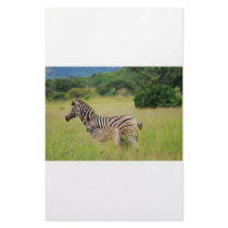 Zebra baby and mom custom stationery