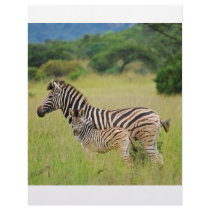 Zebra baby and mom letterhead design
