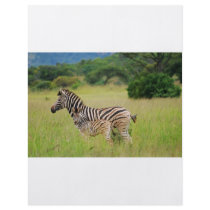 Zebra baby and mom personalized flyer