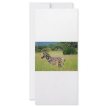Zebra baby and mom rack cards