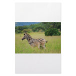 Zebra baby and mom custom stationery