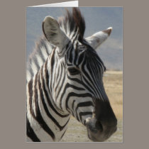 Zebra baby cards