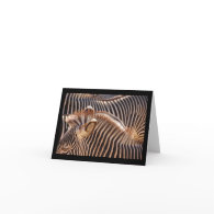 ZEBRA Blank Note Card 2 card
