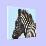 zebra blue canvas canvas prints
