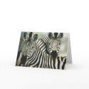 "Zebra Buddies" cards