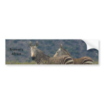 Zebra Bumper Sticker bumper stickers