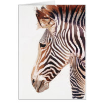 "Zebra Bust" Zebra Wildlife Watercolor cards
