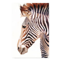 "Zebra Bust" Zebra Wildlife Watercolor posters