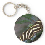 Zebra butterfly, Costa Rica Key Chain