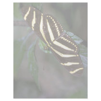 Zebra butterfly, Costa Rica Letterhead Design