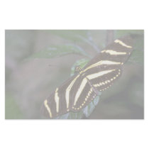 Zebra butterfly, Costa Rica Personalized Stationery