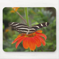 Zebra Butterfly Mousepad