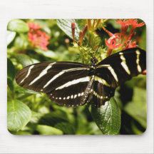 Zebra Butterfly Mousepad