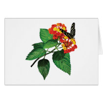 Zebra Butterfly on Lantana Greeting Card
