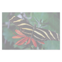 Zebra butterfly on Mexican flaming vine flower Personalized Stationery