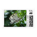 zebra butterfly postage