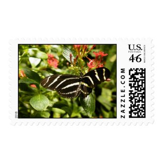 Zebra Butterfly Stamps stamp